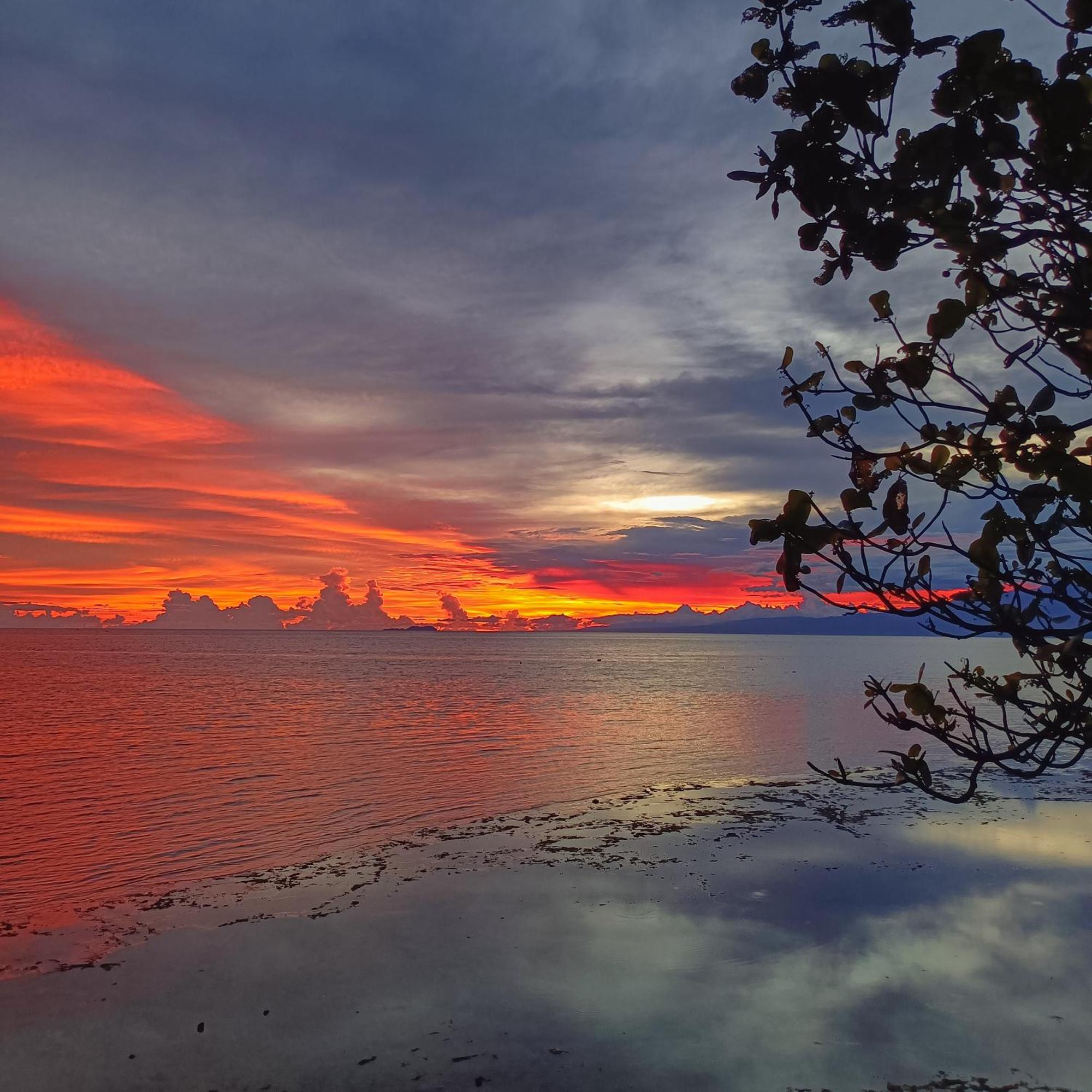 Zara'S Casa Rental Siquijor Εξωτερικό φωτογραφία